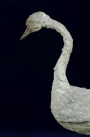 鵠藏品圖，第2張